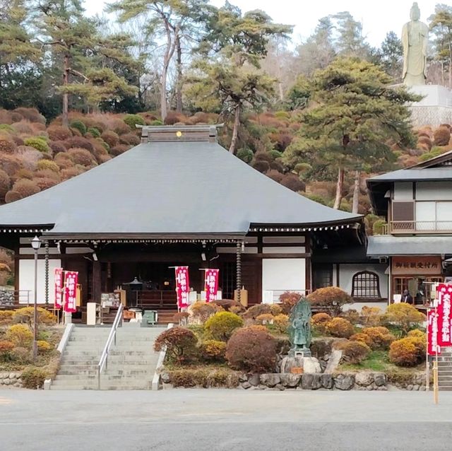 花之寺廟+杜鵑奇景