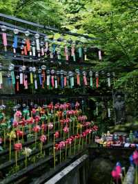 無料かよ‼️13,000個の風鈴がお出迎え✨✨映えに気合い入ってる風鈴寺🎐