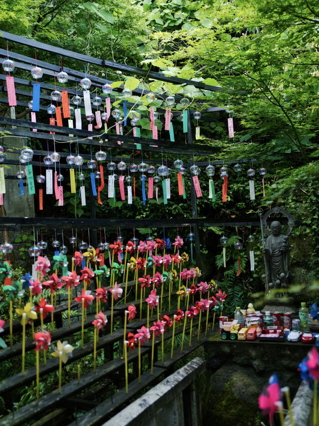 無料かよ‼️13,000個の風鈴がお出迎え✨✨映えに気合い入ってる風鈴寺🎐