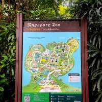 Singapore zoo