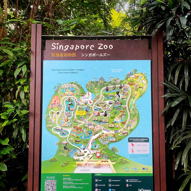 Singapore zoo