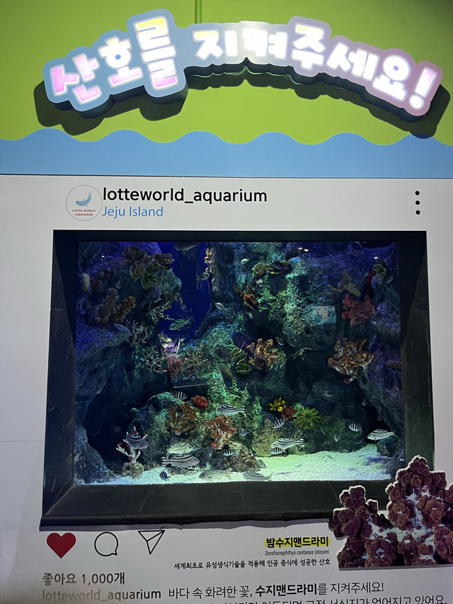 서울 실내데이트 강추! 잠실 롯데월드 아쿠아리움🐟