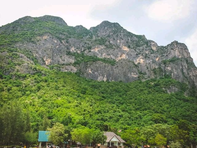 🌷ชมวิว ธรรมชาติ บึงบัว @สามร้อยยอด ปราณบุรี