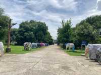 Elephant Parade Land เชียงใหม่