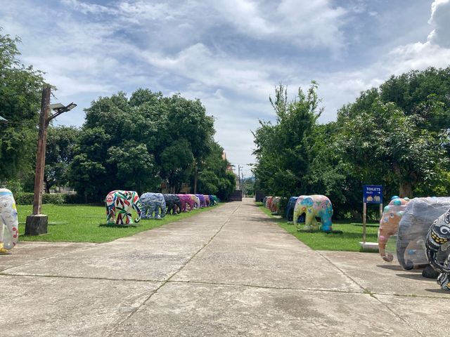 Elephant Parade Land เชียงใหม่