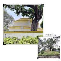 澳門特色小眾公園😍