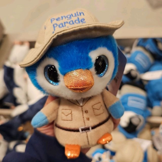 귀여운 펭귄들의 퇴근길 🐧  구경하고싶다면 필립아일랜드로 go