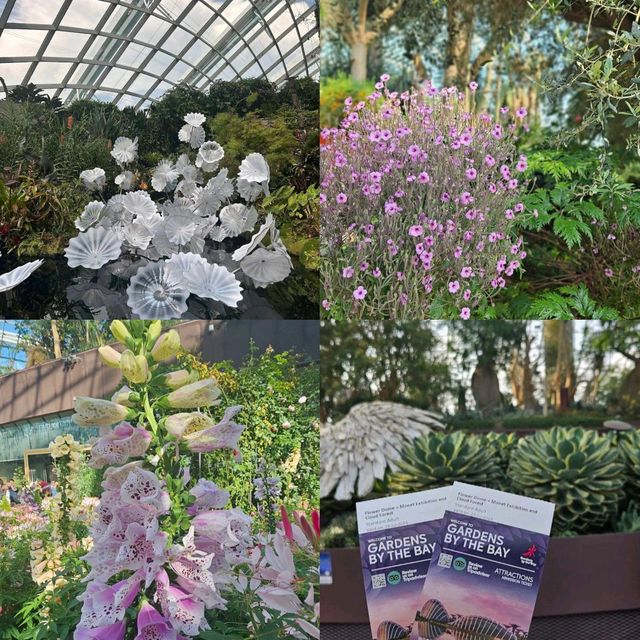 Singapore Flower Dome