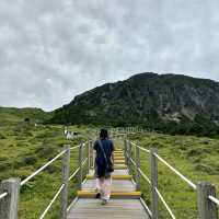 제주여행🏝️ 열아홉번째 오름, 한시간 반이면 한라산을 오를 수 있다고?🤔⛰️
