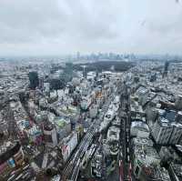 인천에서 2시간 30분! 겨울에 더 화려한 일본의 수도 도쿄🇯🇵