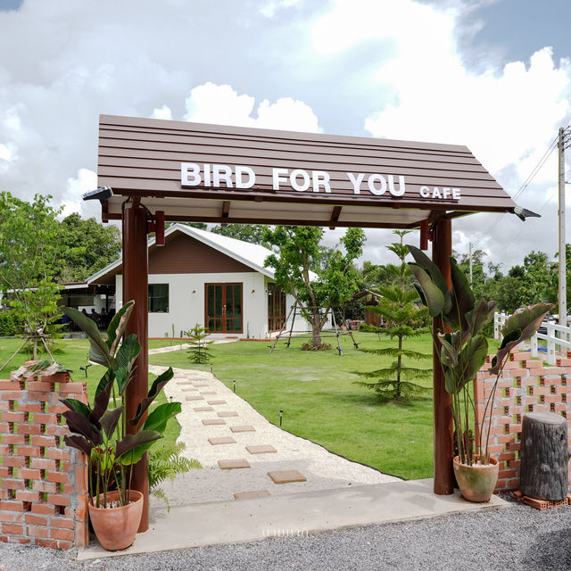 Bird for you cafe 🦜