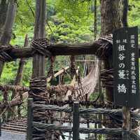 日本三大奇橋之《祖谷蔓橋》