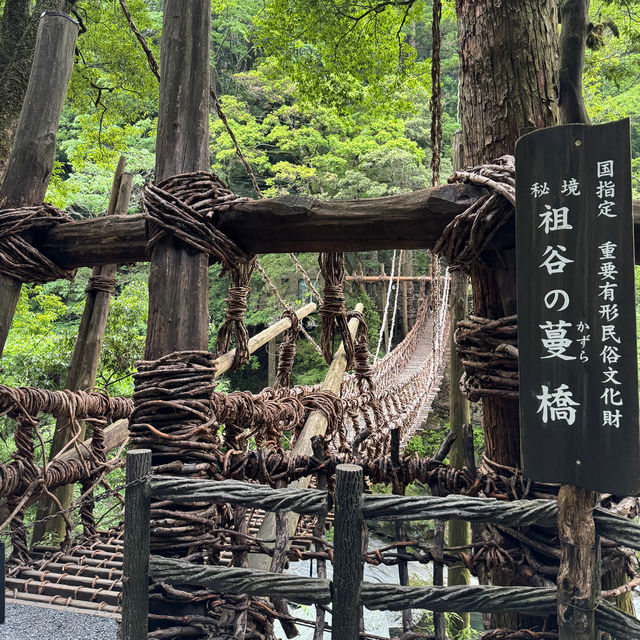 日本三大奇橋之《祖谷蔓橋》