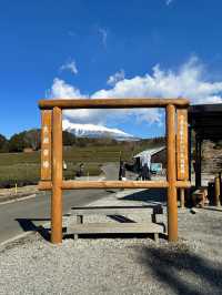 📍富士山の茶の間 -大淵笹場-