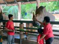 รีวิว สวนสัตว์เปิดเขาเขียว 🦏🐘🐅