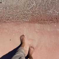 Stunning view of pink sand beach