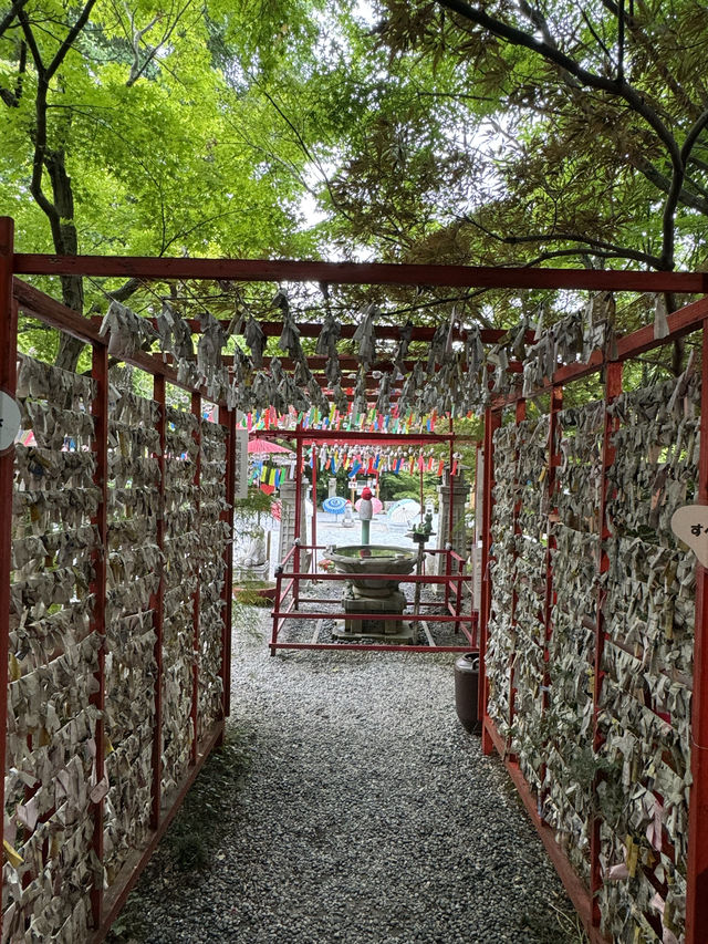 【福岡観光】涼しげな風鈴とシャボン玉が楽しめるお寺🎐