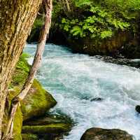 洛陽之滝：水晶明鏡般的美景