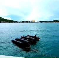 เล่นน้ำที่หาดลูกลม เกาะแสมสาร 