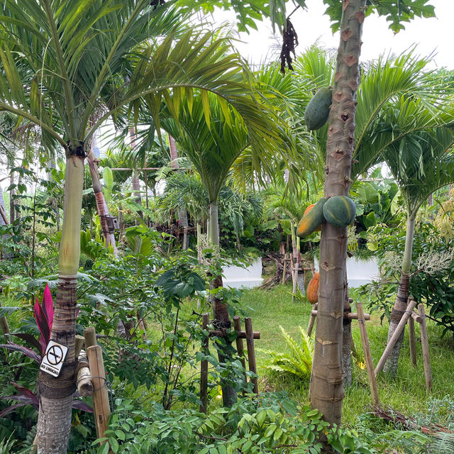【宮古島】南国風の超おしゃれカフェ☕️🌺🌴