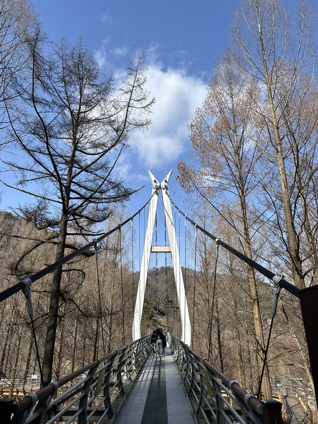 대전 출렁다리 추천🩶🩵