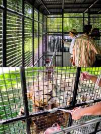 แจกแพลนเที่ยวซาฟารีเวิลด์ 1 วัน 🦁🦒🦜