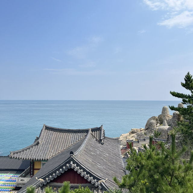 바다가 보이는 사찰 부산 해동용궁사 무료 입장가능한 관광지