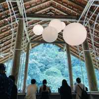 Pineyard Cafe in the Forest 🌳 Janda Baik 🇲🇾