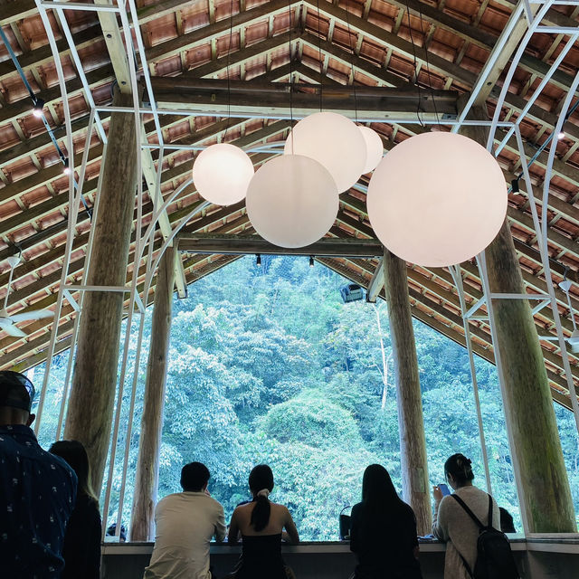 Pineyard Cafe in the Forest 🌳 Janda Baik 🇲🇾