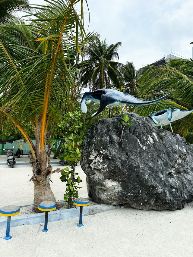 🏝️ First Time in my Life