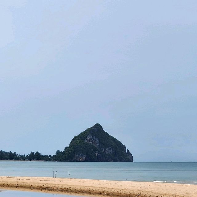 กาแฟขี้ชะมดโครงการพัฒนาส่วนพระองค์จังหวัดชุมพร