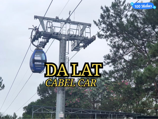 🌲Dalat Cable Car 🚠 