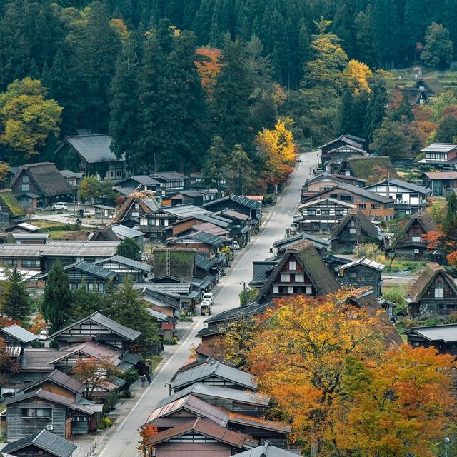 จัดจ้านที่หมู่บ้านชิราคาวาโกะ Shirakawago