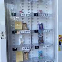 日本ㅣ柴又ㅣ帝釋天參道ㅣ東京近郊老街散策