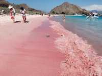 Pink Beach อุทยานแห่งชาติหมู่เกาะ Komodo