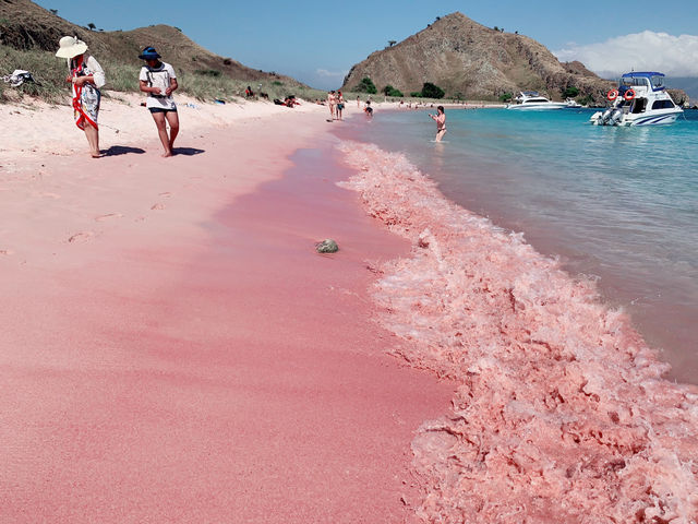 Pink Beach อุทยานแห่งชาติหมู่เกาะ Komodo
