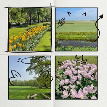 ミルフィールド🌲自然の楽園🌼🌳