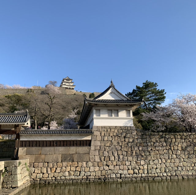 丸亀城　現存十二天守！！