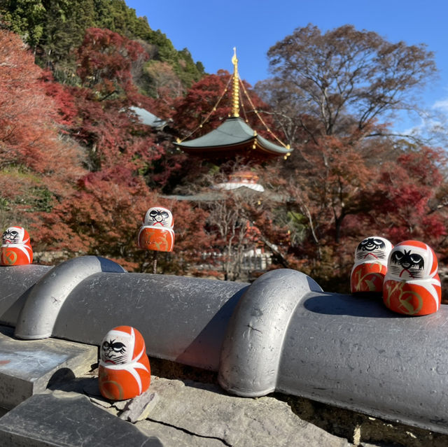 日本大阪勝尾寺、箕面公園賞楓