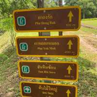 อุทยานแห่งชาติคลองพนม