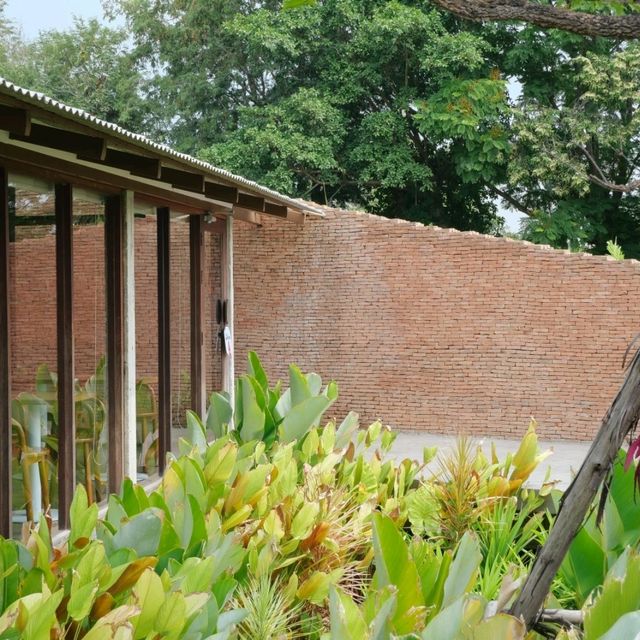 NAYA Cafe Ayutthaya คาเฟ่อิฐและวิวทุ่งนา🌾