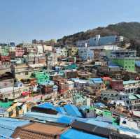 Colourful Gamcheon Cultural Village 🇰🇷