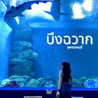 ชวนไปส่องโลกใต้น้ำกัน !!!
