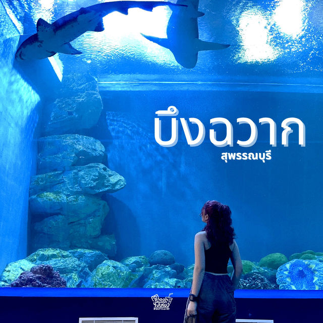 ชวนไปส่องโลกใต้น้ำกัน !!!