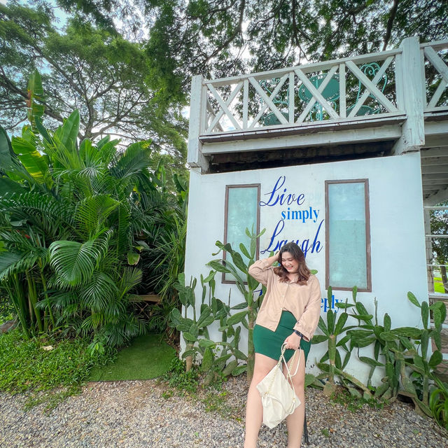 ทัพฟ้า คาเฟ่ คาเฟ่ชิคชิคที่ท่าอากาศยานพิษณุโลก