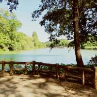 ～井の頭恩賜公園～