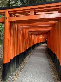 伏見稻荷大社神社 京都最具特色神社