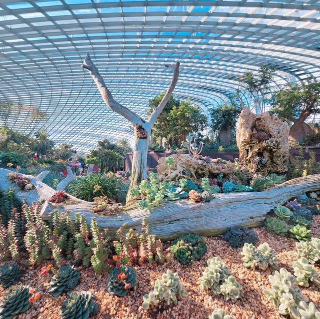 Gardens by the Bay 