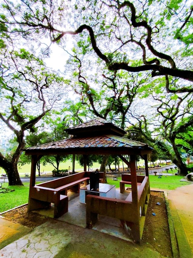 Exploring Nature at Penang Youth Park