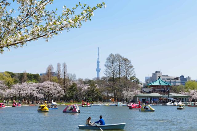 由台灣男友告訴你六件關於上野公園的事💁🏻‍♂️